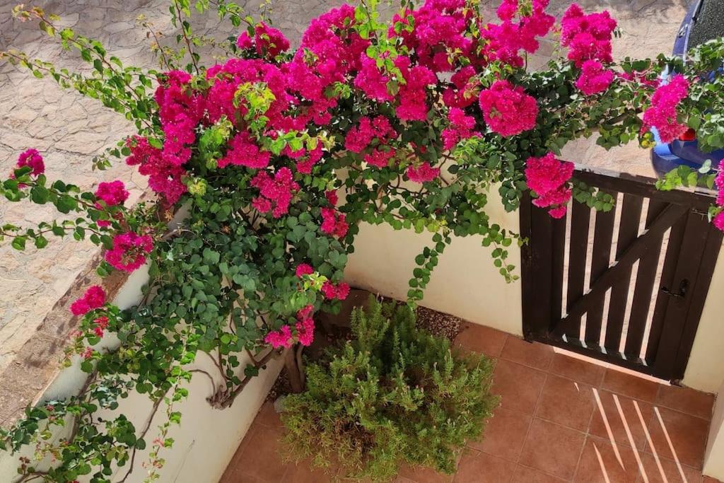 Casa Con Piscina En San Jose Sotillo Екстериор снимка