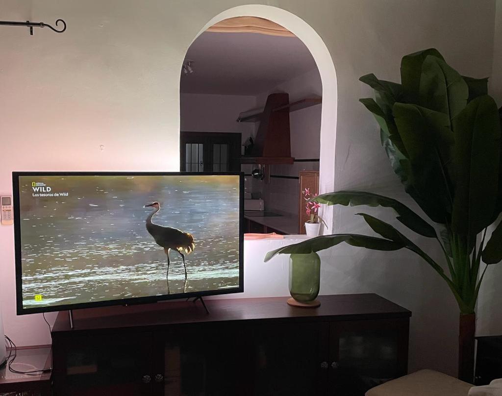 Casa Con Piscina En San Jose Sotillo Екстериор снимка